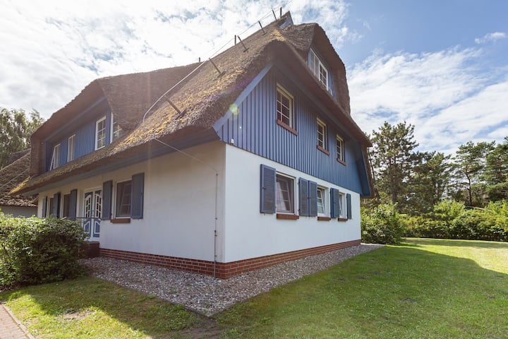 Schöne Aussichten - Wieck a. Darß