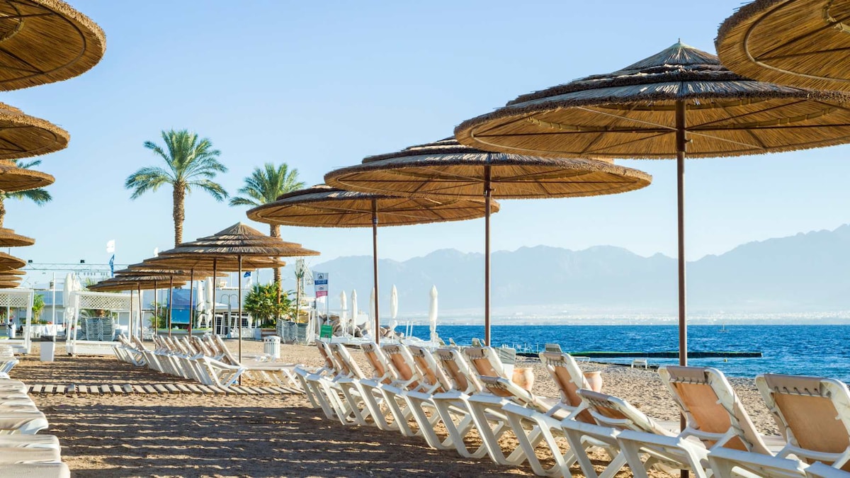 An expansive beach area is shown with multiple lounge chairs arranged in rows beneath large, straw umbrellas. Palm trees line the background, and the view reveals the calming blue sea with mountains visible in the distance.