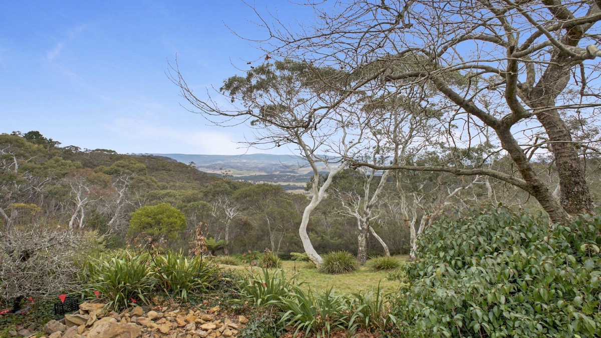 A sweeping view of the Kanimbla Valley is visible from the property, framed by trees and shrubs. The landscape features a mix of greenery and bare branches, showcasing the natural beauty of the Blue Mountains. The sky presents a gentle gradient of blue, indicating a clear day.
