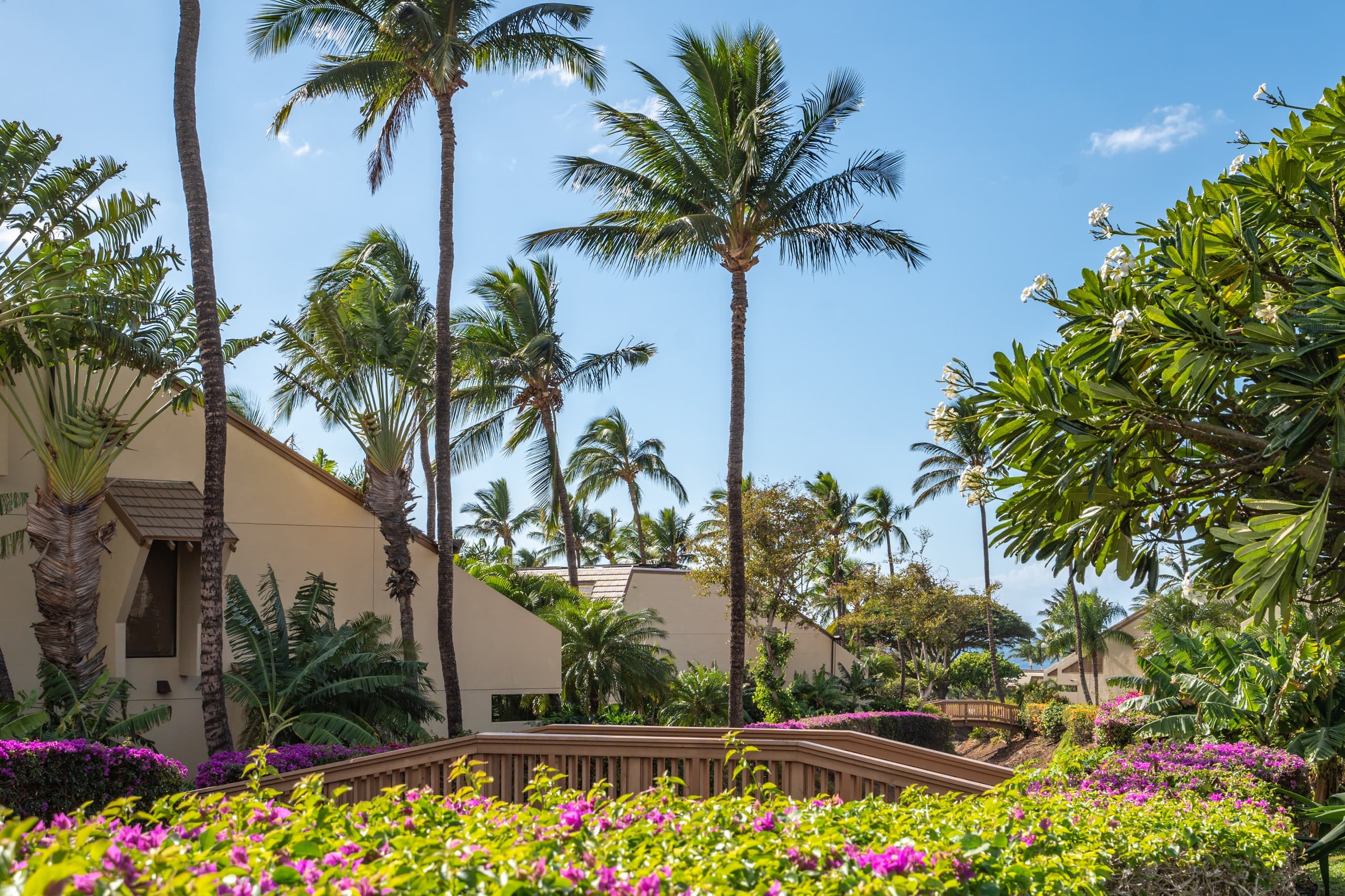 Condo in Kihei · ★5.0 · 2 bedrooms · 3 beds · 2 baths - Image 34