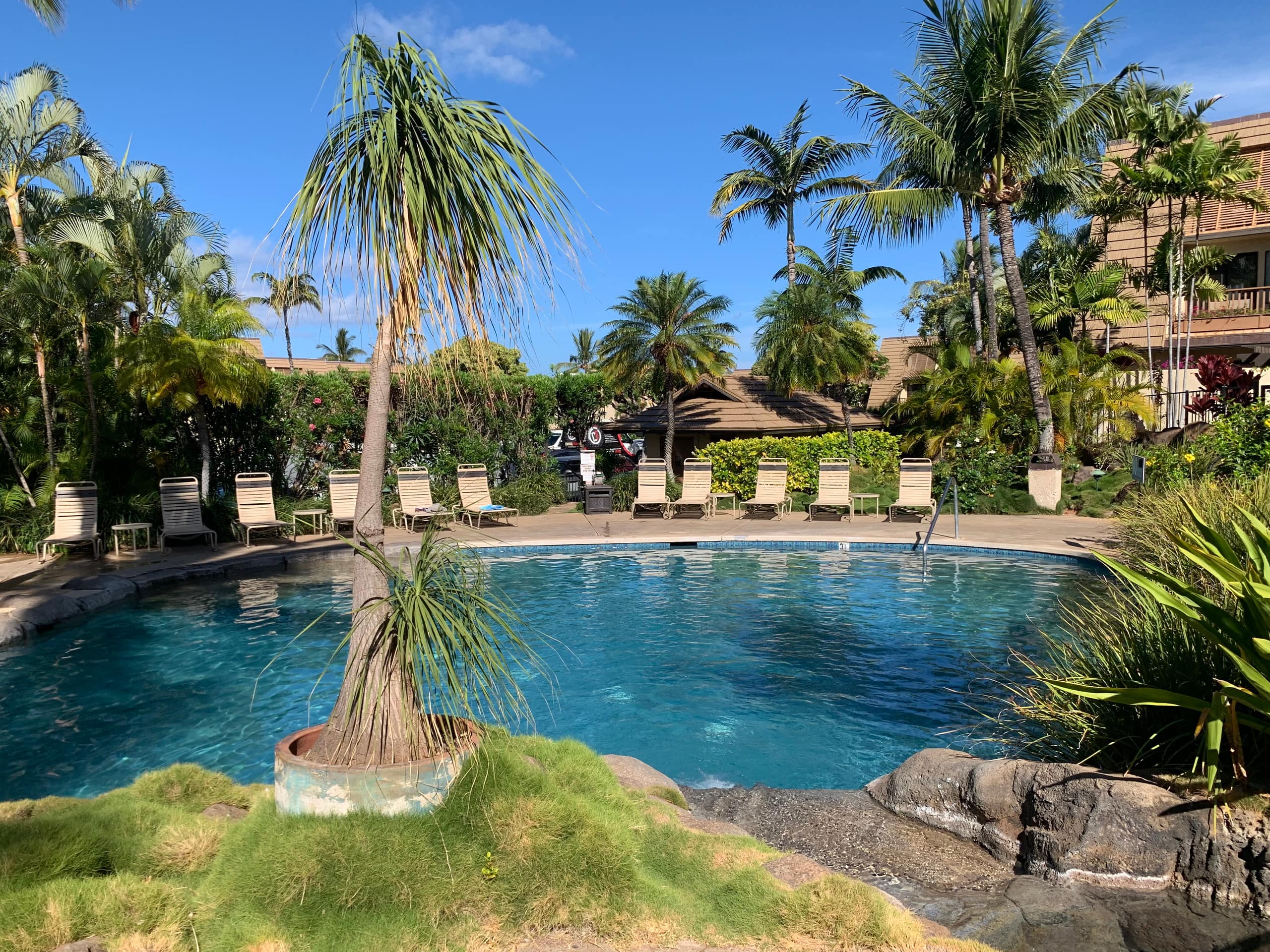 Condo in Kihei · ★5.0 · 2 bedrooms · 3 beds · 2 baths - Image 43