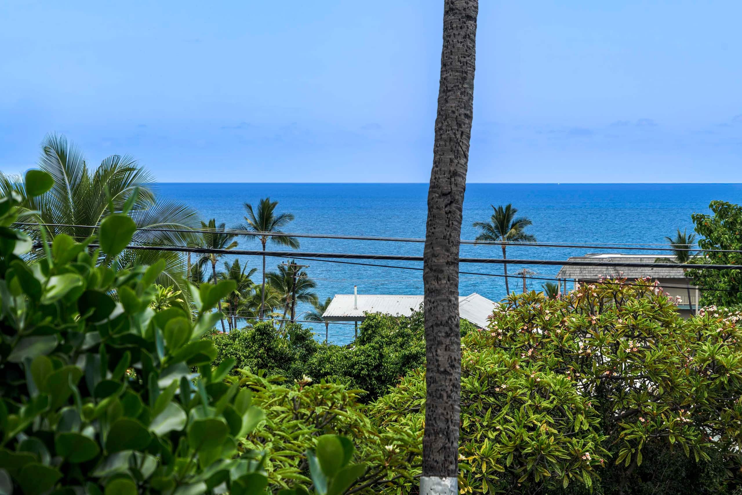 Condo in Kailua-Kona · ★4.93 · 1 bedroom · 2 beds · 1 private bath - Image 8