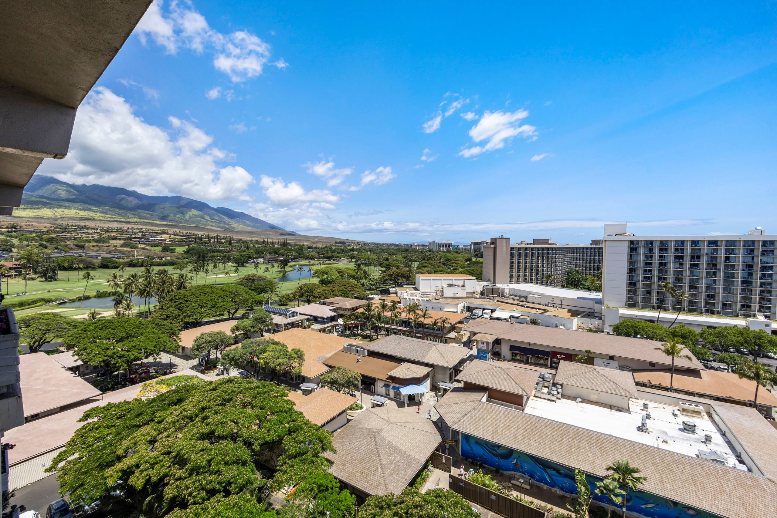 Condo in Lahaina · ★5.0 · 1 bedroom · 1 bed · 2 baths - Image 29