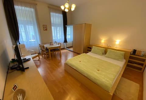 Successful Airbnb property: Apartment 4, HausPrinz in Penzing
