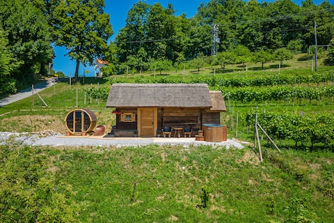 Vineyard Cottage Paradiž - Happy.Rentals