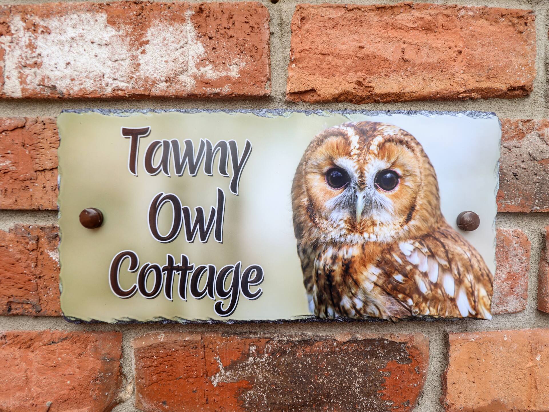 Tawny Owl Cottage — photo 2