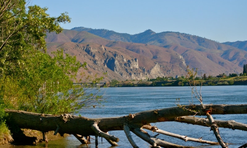 A tranquil scene along the Columbia River showcases the serene water reflecting surrounding mountains. Lush greenery and fallen logs frame the image, highlighting the natural beauty of the landscape. The distant mountain range features rolling hills under a clear blue sky.