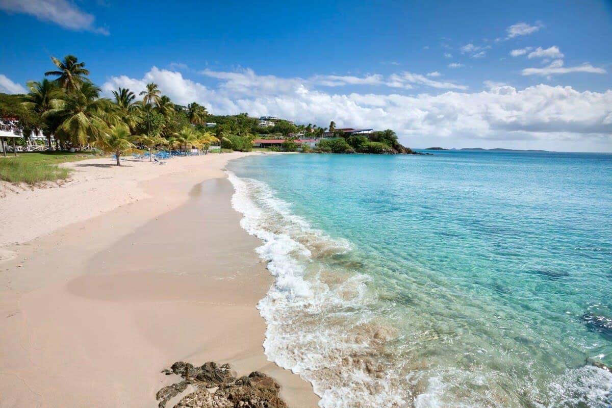 A serene sandy beach extends along the coastline, bordered by gentle waves lapping at the shore. Lush palm trees sway in the breeze, providing a backdrop against the clear blue sky and turquoise waters, creating a tranquil environment for relaxation.