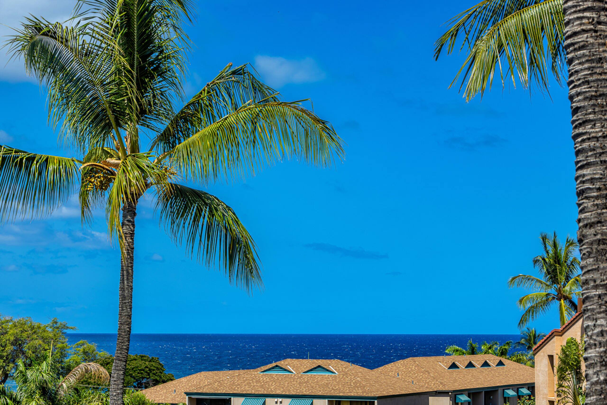 Condo in Kihei · ★4.72 · 2 bedrooms · 2 beds · 2 shared baths - Image 13