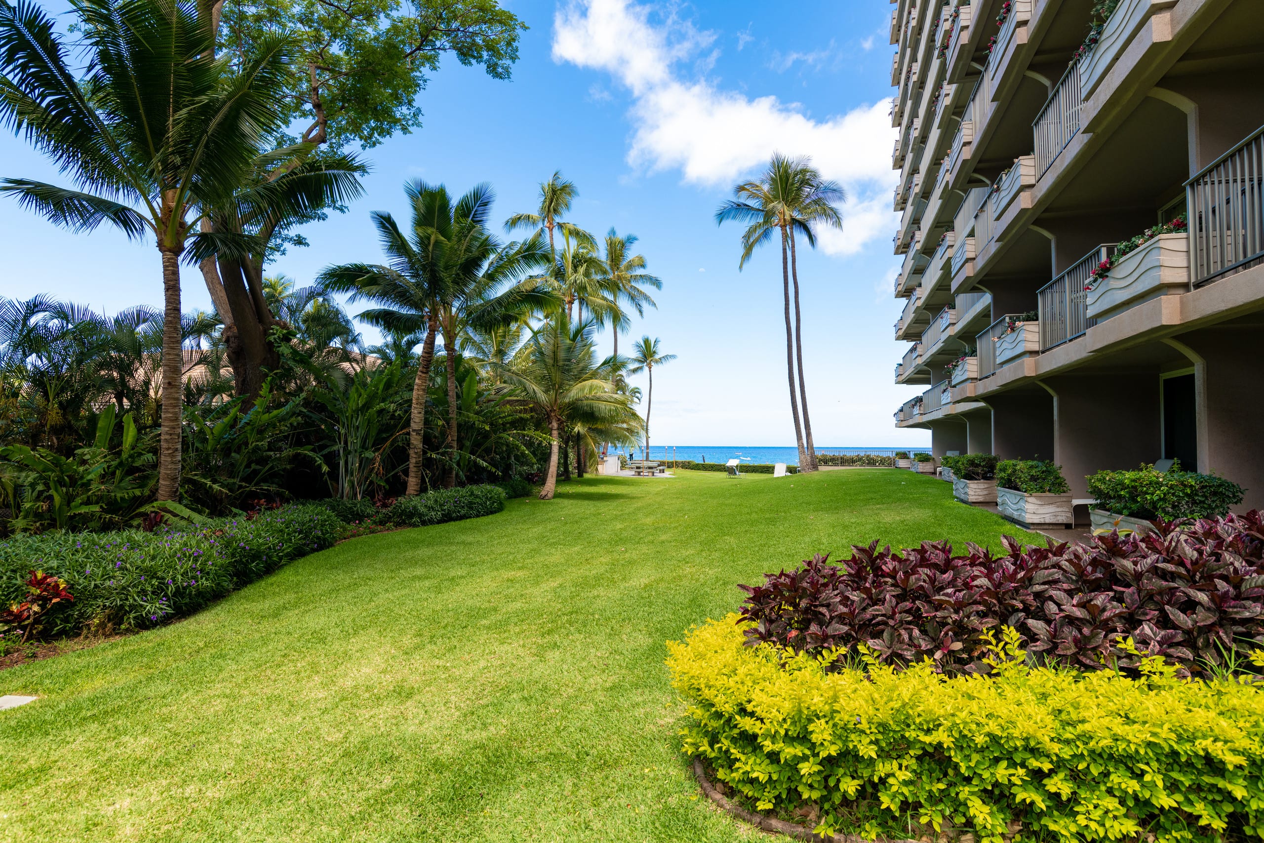 Condo in Lahaina · ★5.0 · 1 bedroom · 1 bed · 1 bath - Image 36