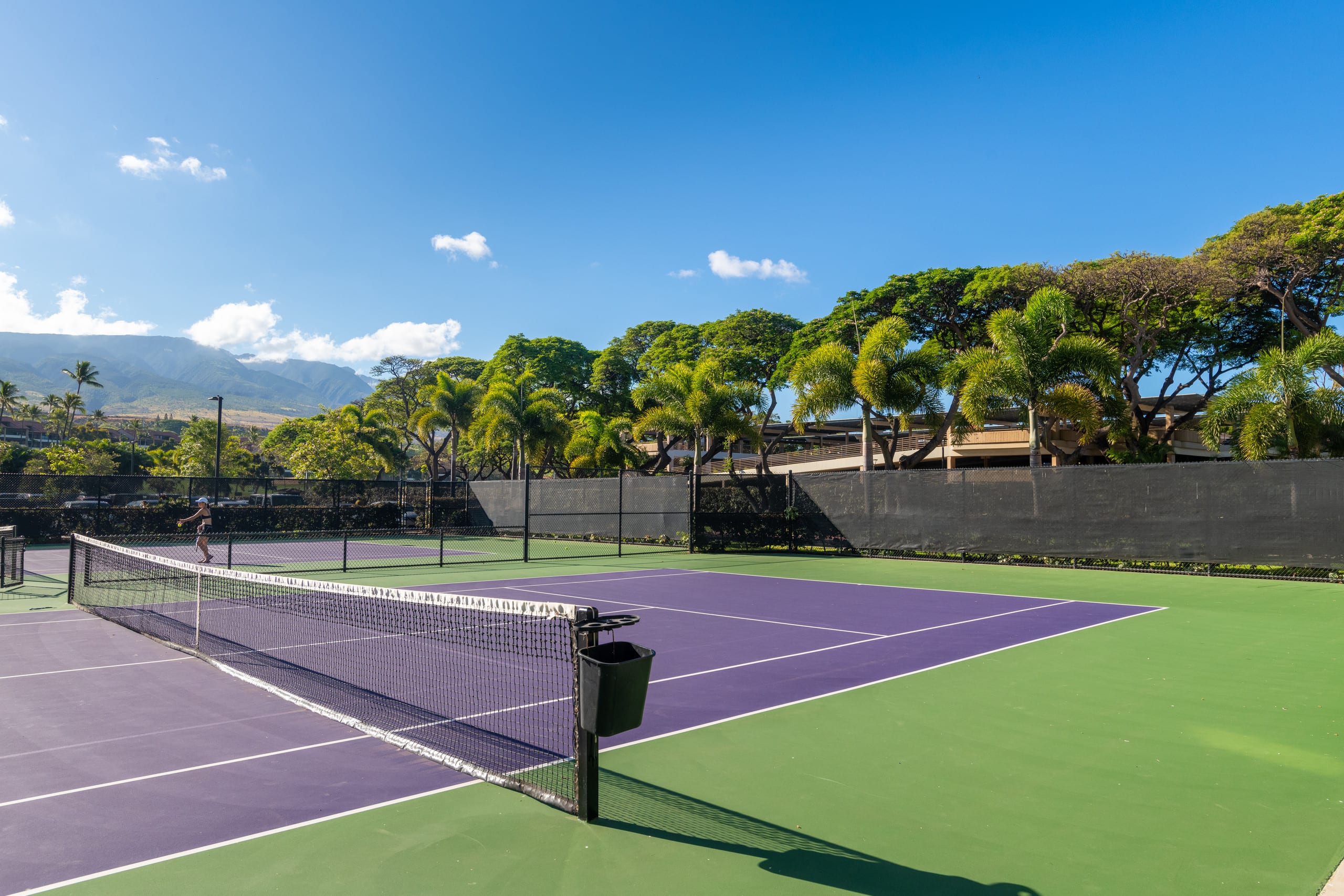 Condo in Lahaina · ★5.0 · 1 bedroom · 1 bed · 1 bath - Image 26