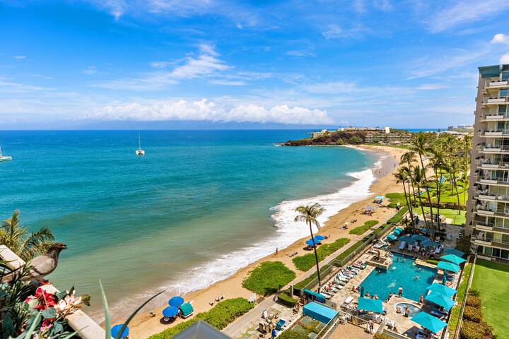 Ocean Frnt steps from beach, dining, shopping 952 gallery image 3