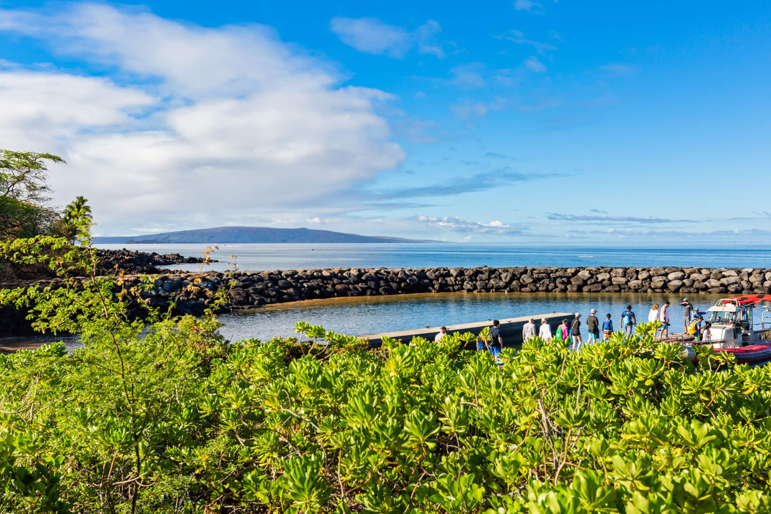 Condo in Kihei · ★4.67 · 1 bedroom · 2 beds · 2 private baths - Image 44
