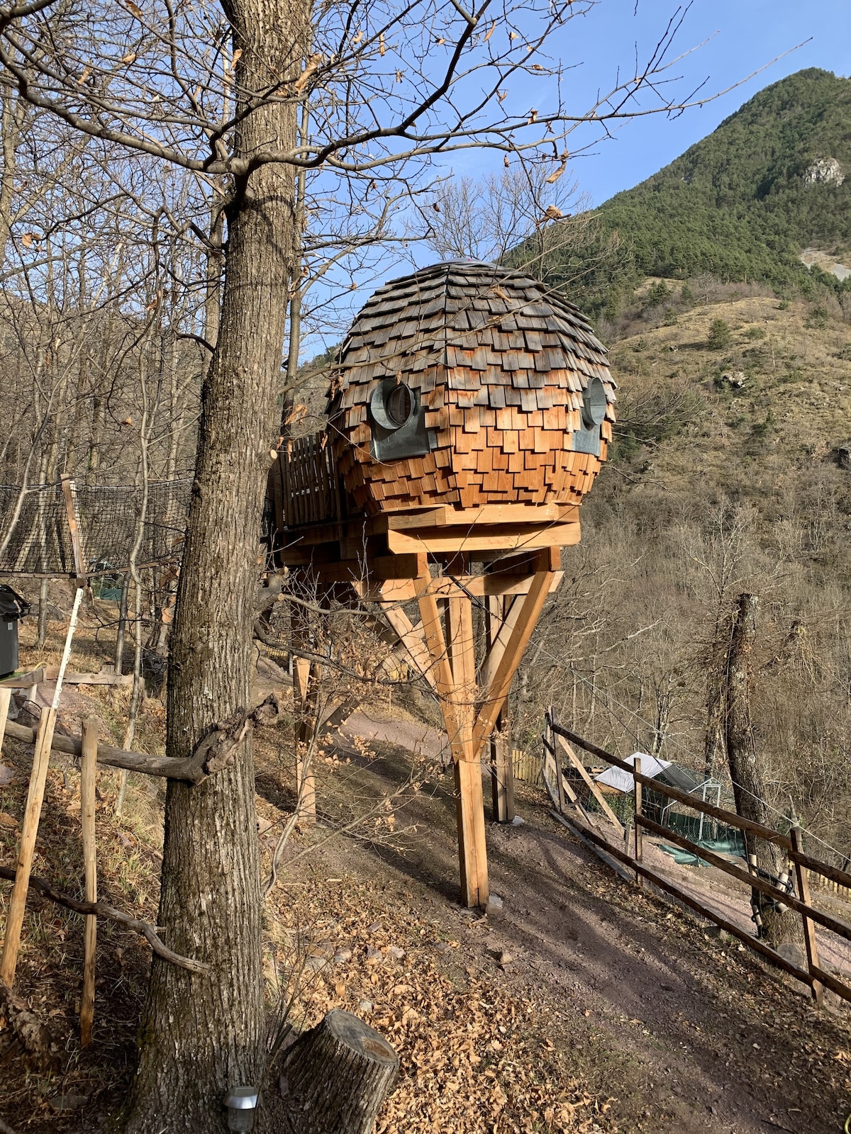 A uniquely designed cabin is perched among trees, featuring a rounded structure with shingled roofing and whimsical windows. The cabin stands elevated on wooden stilts, surrounded by nature and showcasing a backdrop of lush hills and bare trees.
