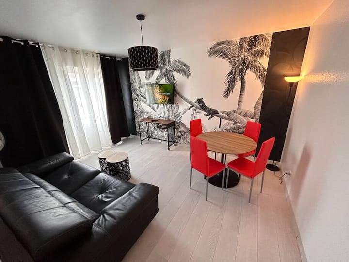 Esprit Panthère, 42m2 De Charme. - Mulhouse