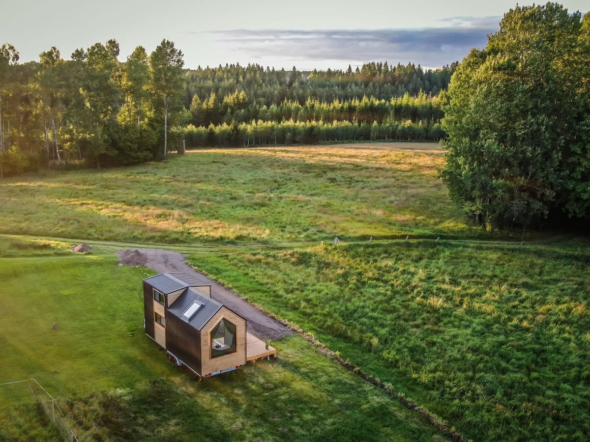 A scenic view of the tiny house is captured amid lush greenery, with tall trees and open fields surrounding it. The modern design of the house contrasts against the natural landscape, creating a cozy retreat in the heart of the forest.