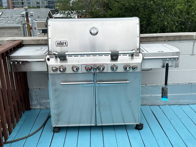 Wrigley Penthouse w/Private Roof Deck and Parking gallery image 3