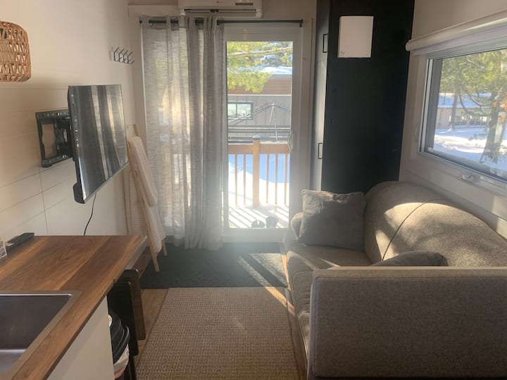 Living room, sofa bed and TV