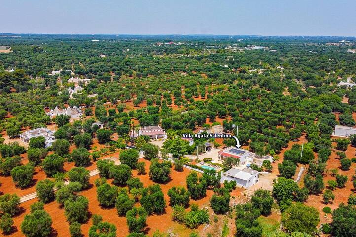 Villa Agata Salentino by Villa Plus gallery image 4