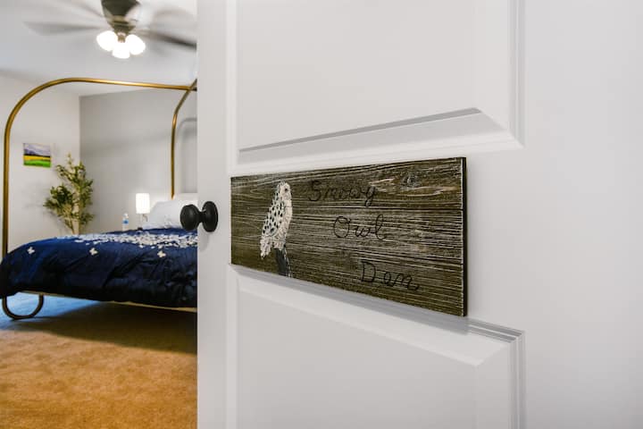 Примарно BR - Snowy Owl Den