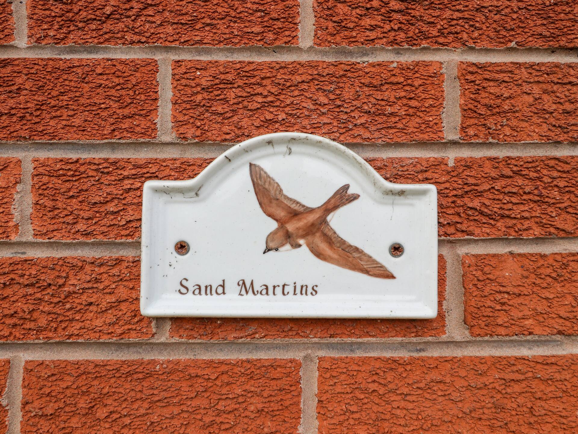 Sandmartins — foto 3