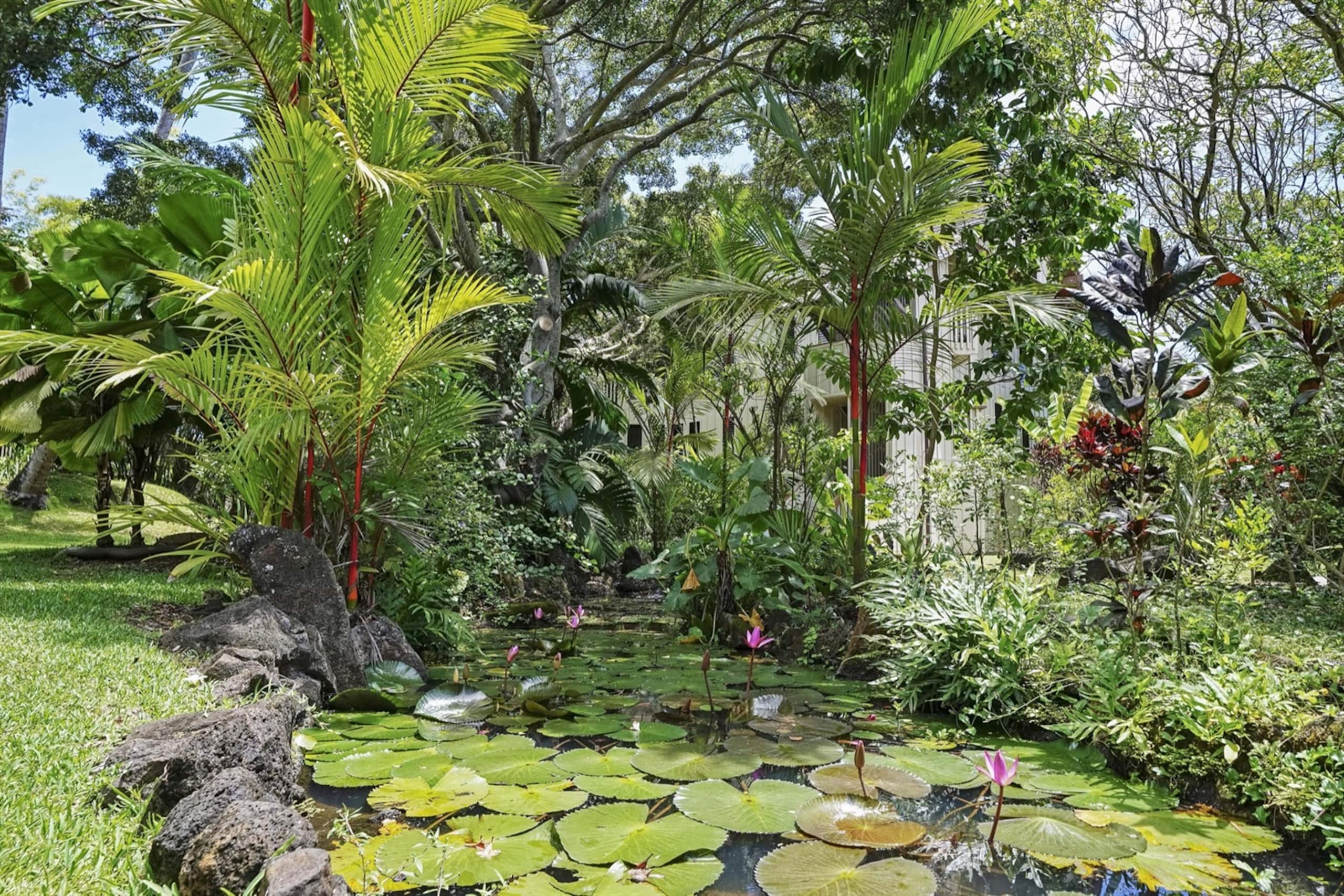 Condo in Koloa · ★4.94 · 1 bedroom · 2 beds · 1 shared bath - Image 37