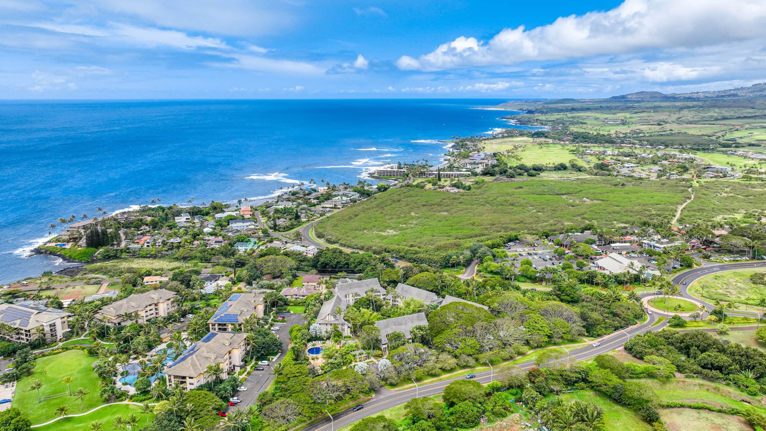 Condo in Koloa · ★4.94 · 1 bedroom · 2 beds · 1 shared bath - Image 29