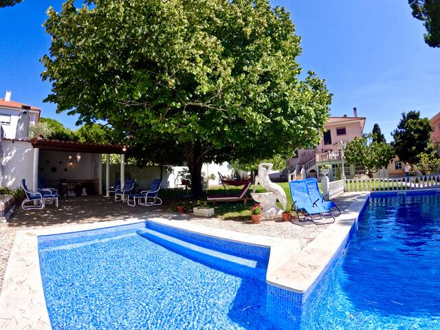 Yucca gallery image 2