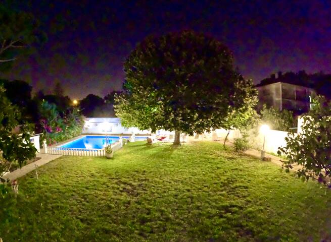 Yucca gallery image 5