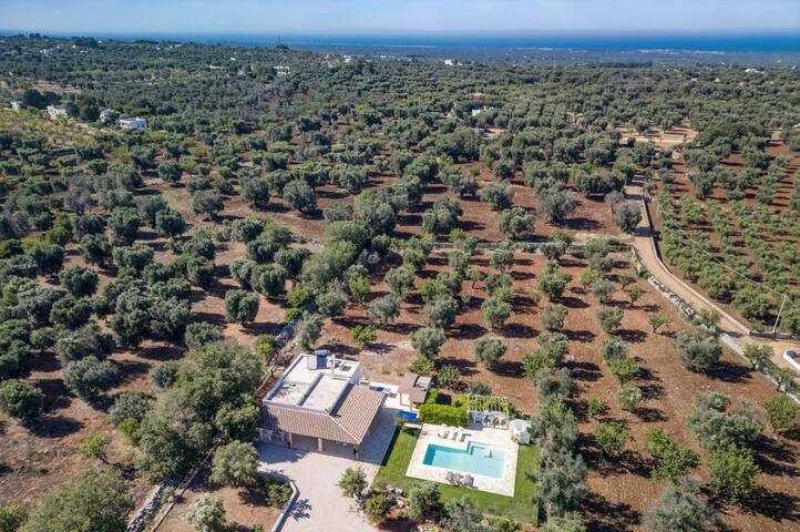 Villa Mincodda by Villa Plus gallery image 5