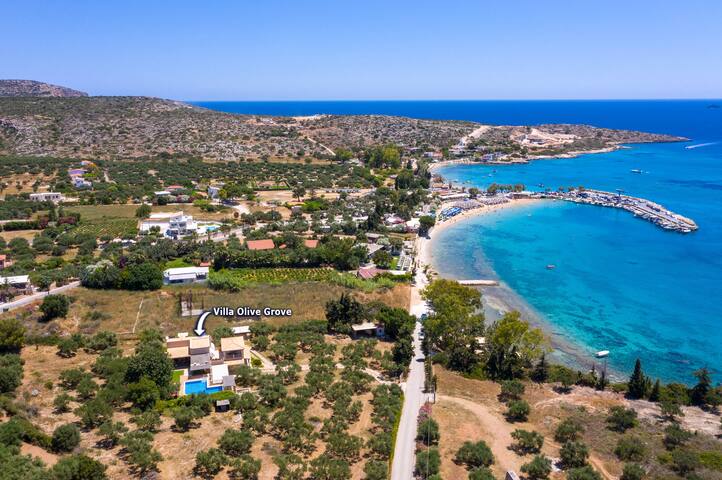 Villa Olive Grove by Villa Plus gallery image 3