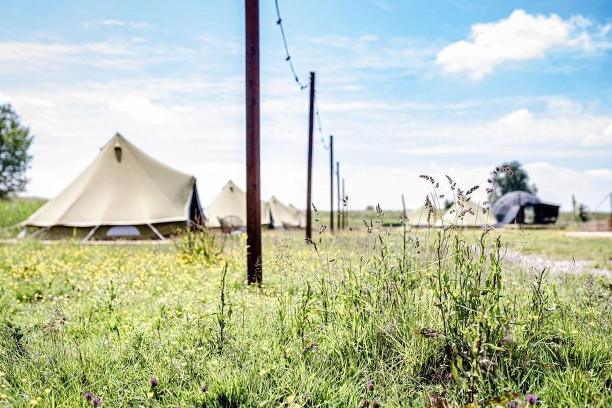 A row of Bell tents is positioned amidst a grassy field, with wildflowers dotting the landscape. Wooden poles supporting string lights are visible along the path, leading to the tents. The scene is set against a clear blue sky with light clouds.