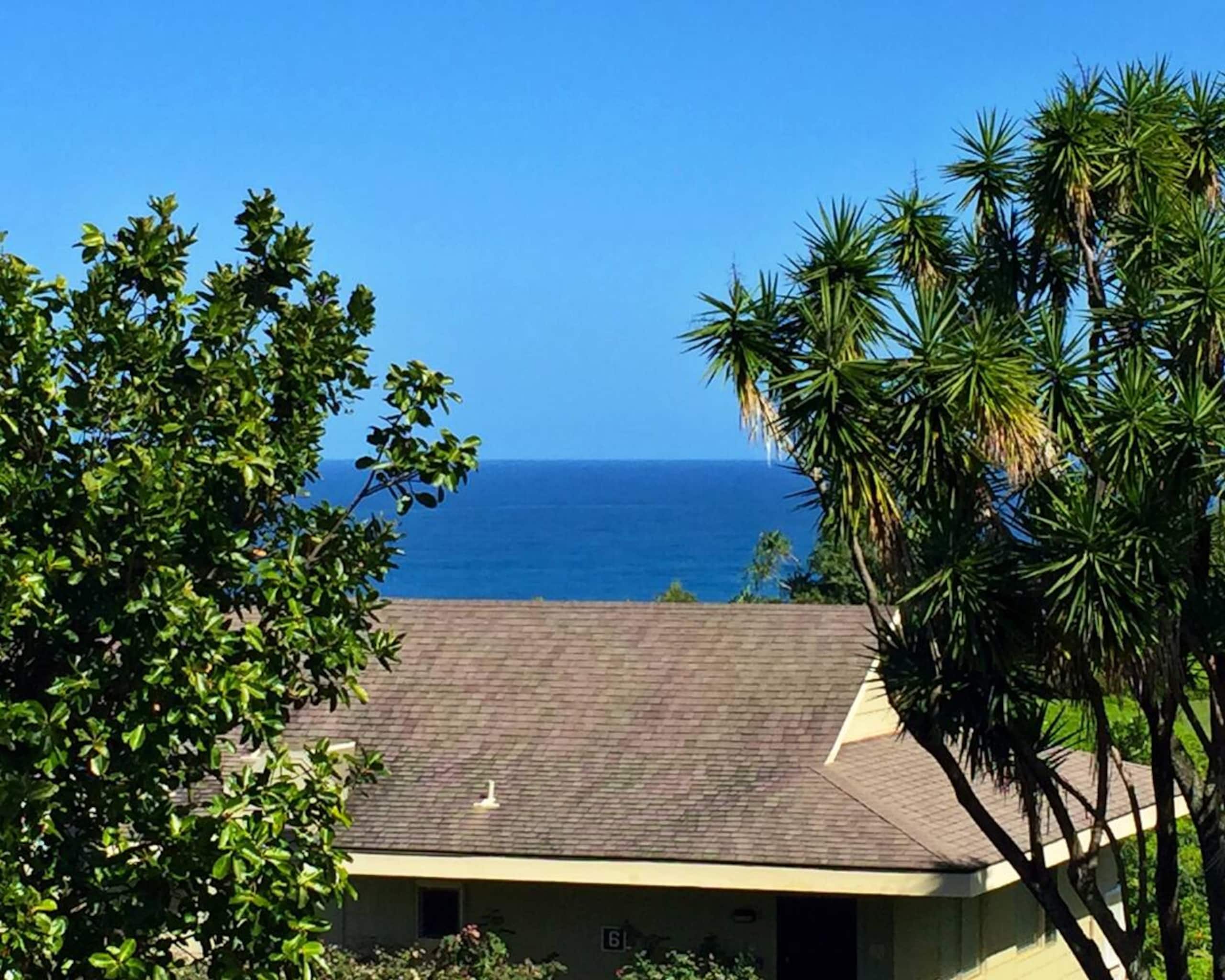 Condo in Princeville · ★4.89 · 2 bedrooms · 2 beds · 2 private baths - Image 13