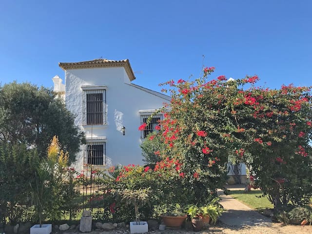 Casa Andaluza managed Airbnb listing 1