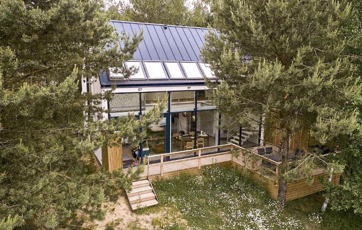 A modern architectural house is framed by tall trees, showcasing a combination of wood and glass elements. The large windows allow natural light to fill the interior, with a deck area partially visible, surrounded by greenery, offering a connection to the natural surroundings.