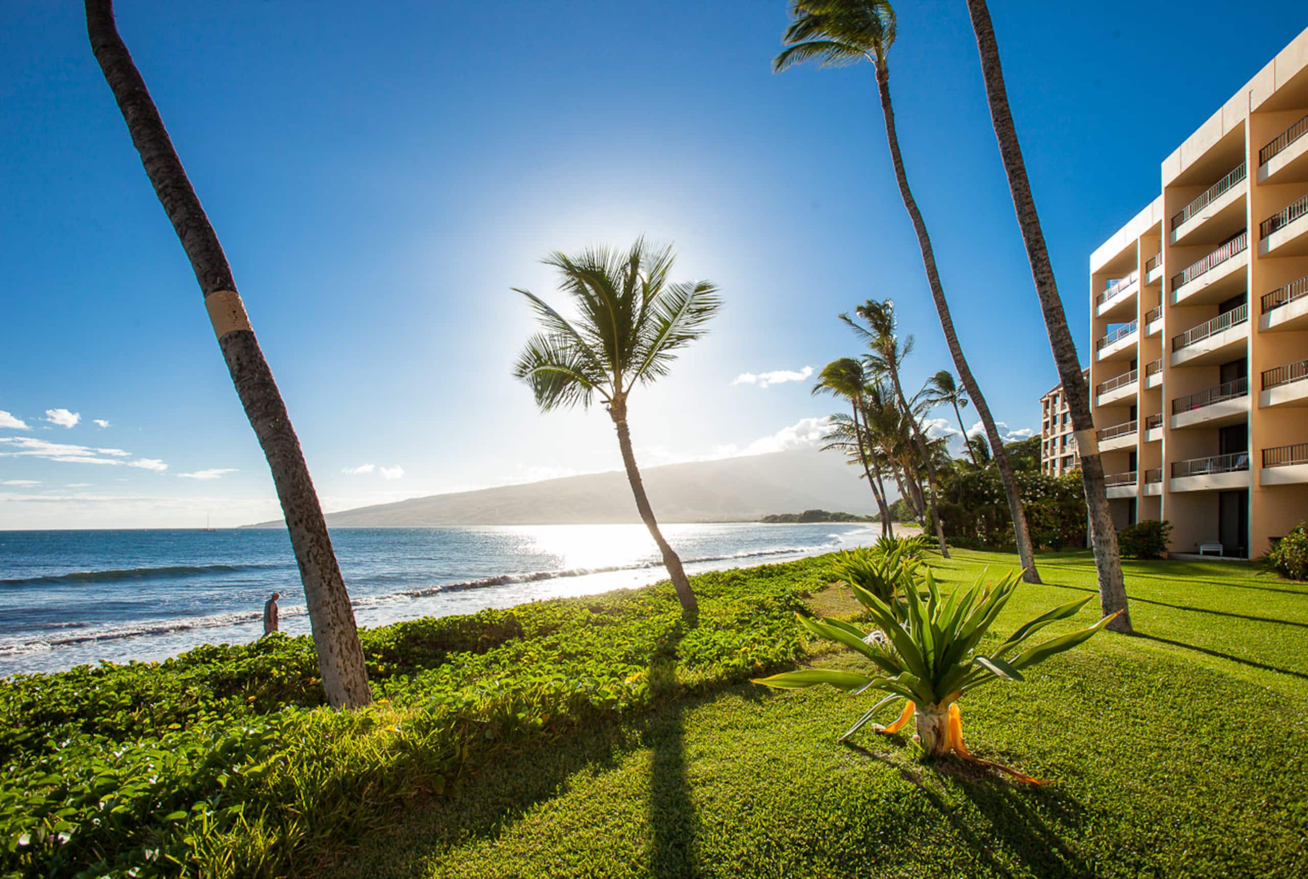 Condo in Kihei · ★4.86 · 1 bedroom · 1 bed · 1 bath - Image 40