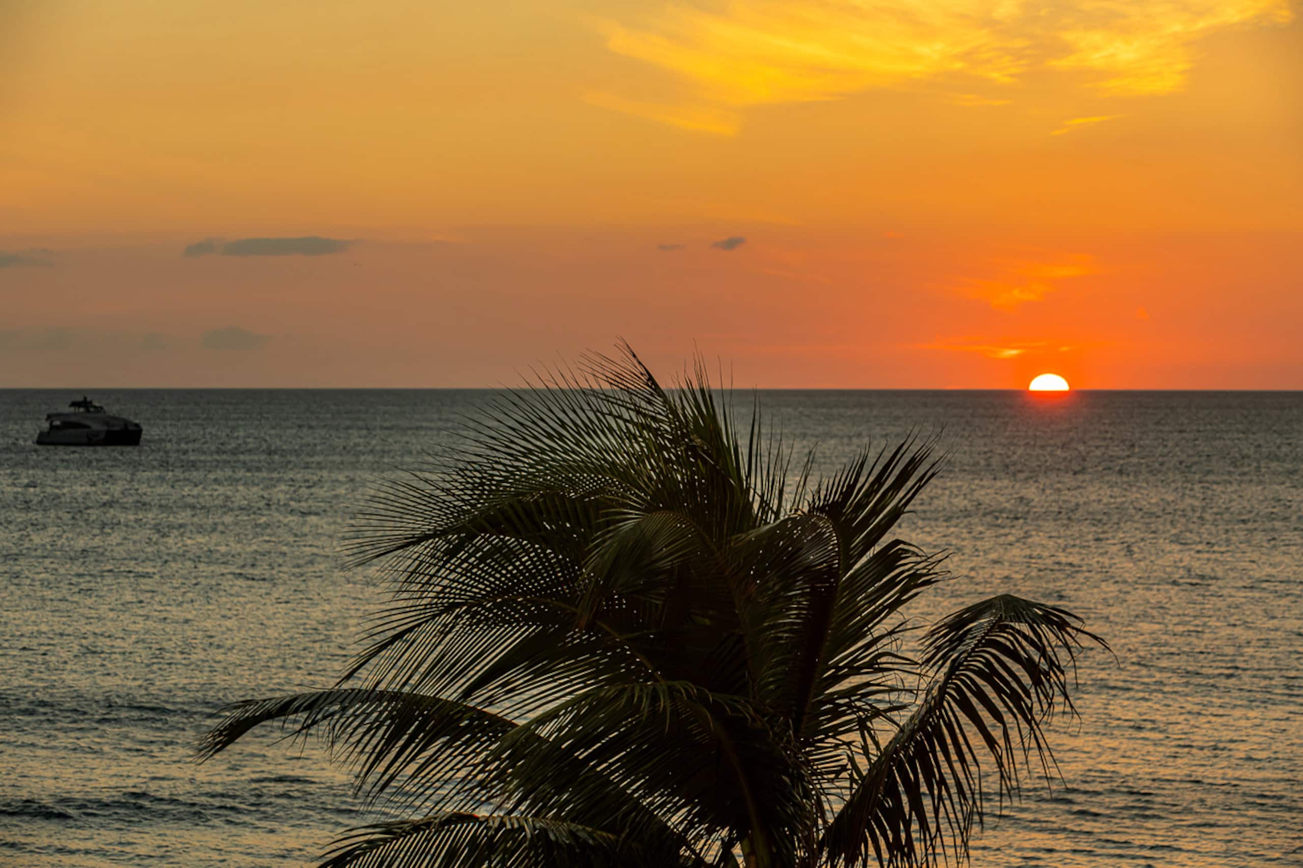Condo in Kihei · ★4.86 · 1 bedroom · 1 bed · 1 bath - Image 51