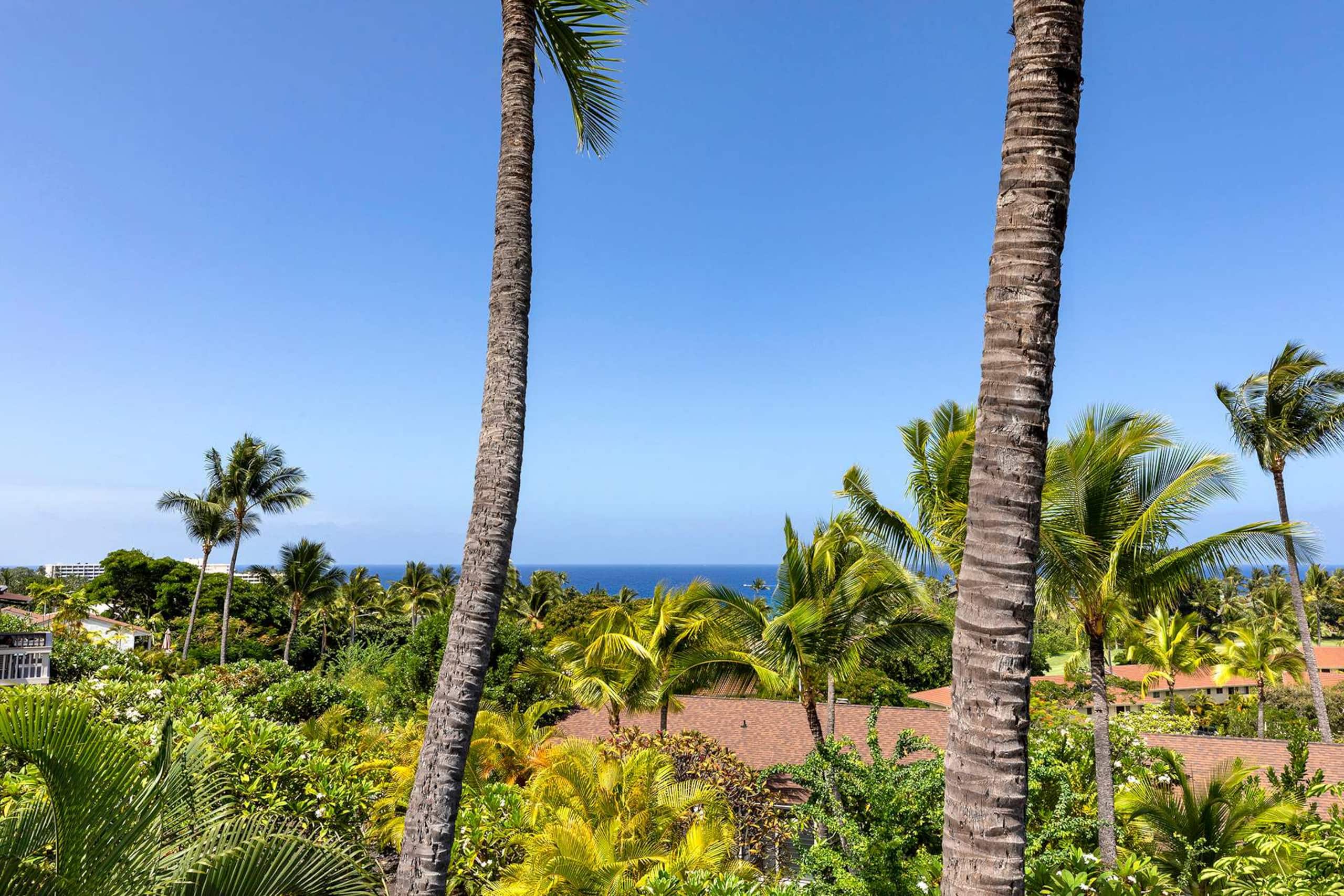 Condo in Kailua-Kona · ★4.6 · 1 bedroom · 1 bed · 1 private bath - Image 22