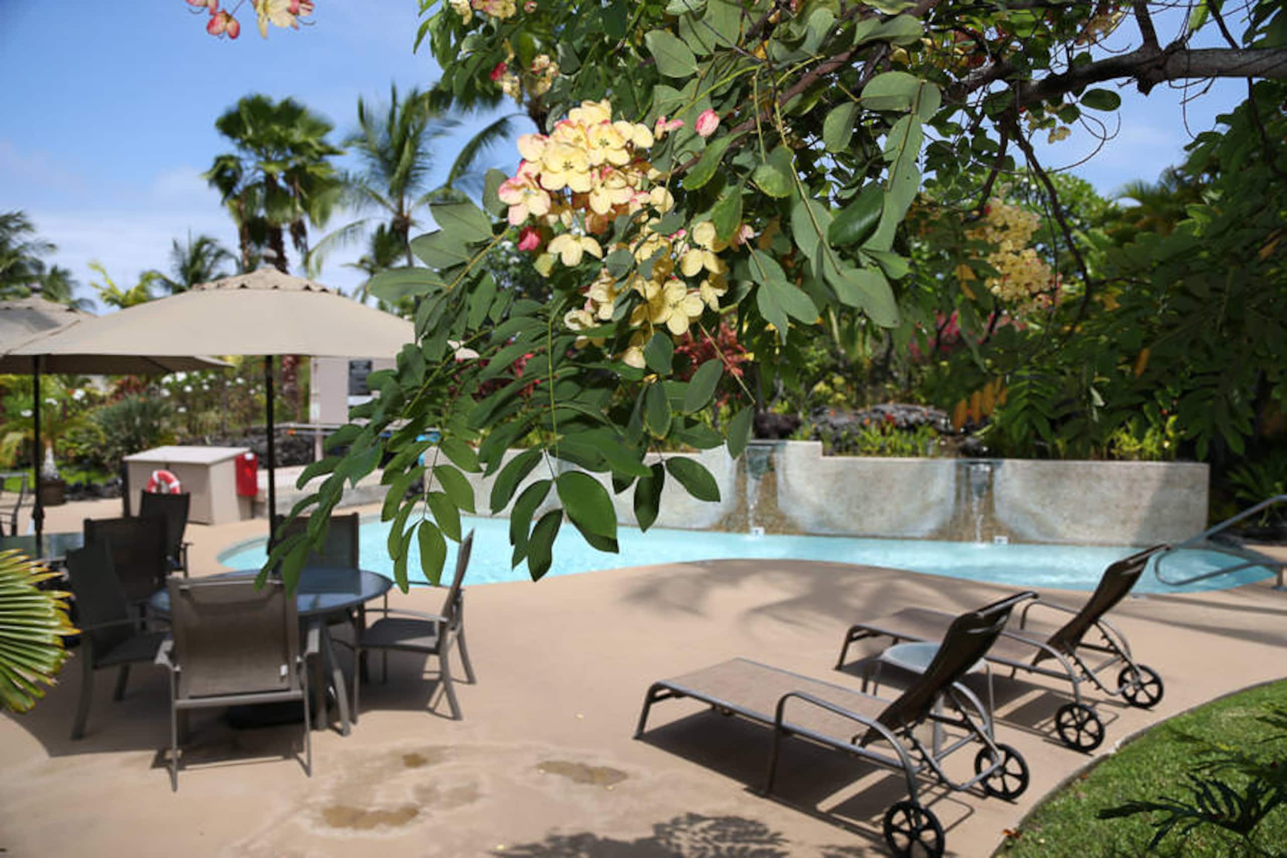 Condo in Kailua-Kona · ★4.6 · 1 bedroom · 1 bed · 1 private bath - Image 36