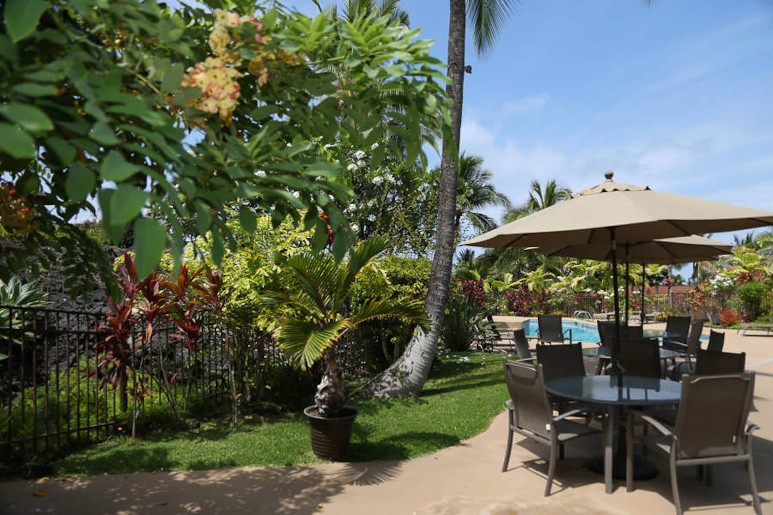 Condo in Kailua-Kona · ★4.6 · 1 bedroom · 1 bed · 1 private bath - Image 35