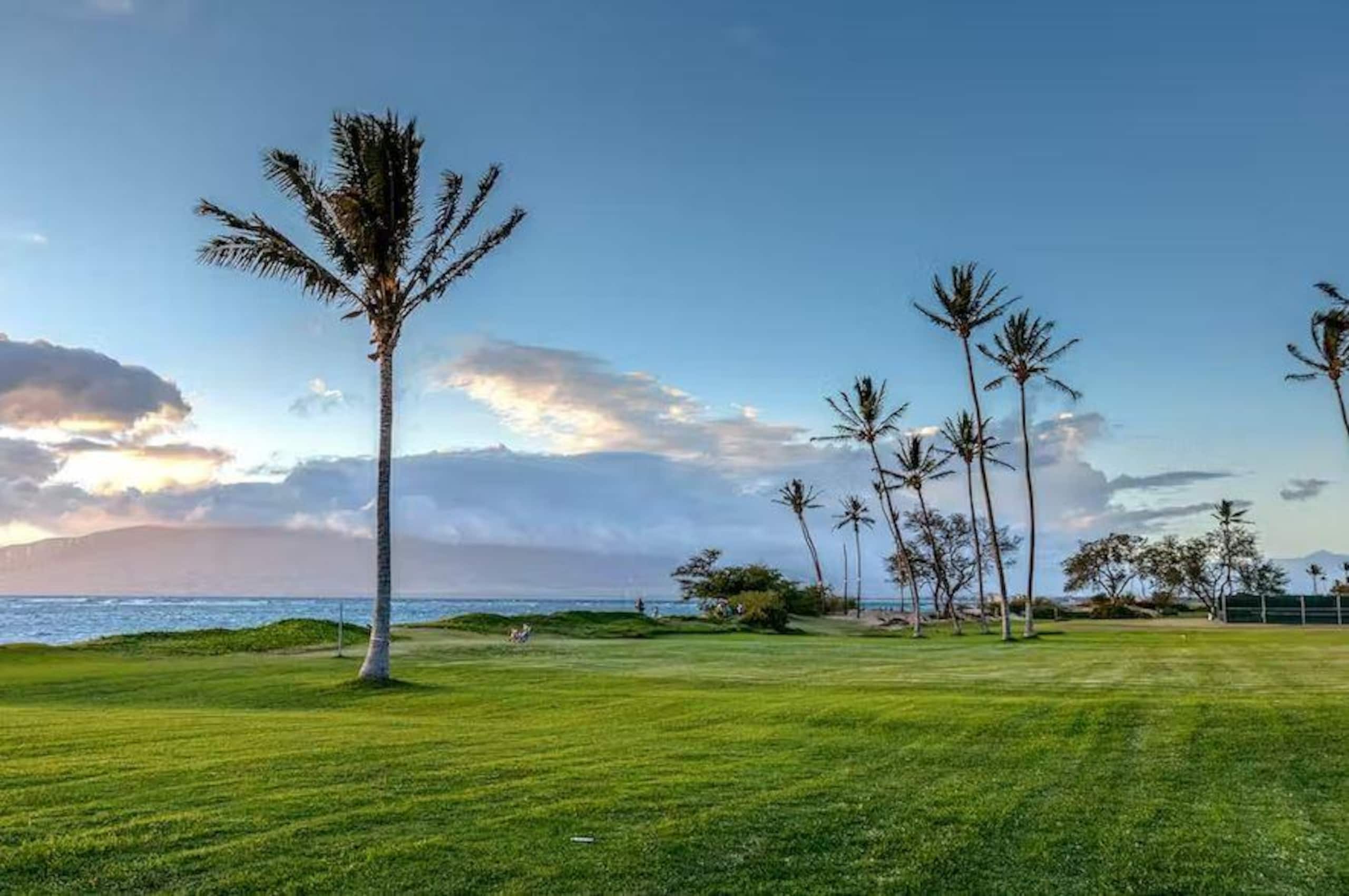 Condo in Kihei · ★4.91 · 2 bedrooms · 3 beds · 2 baths - Image 32