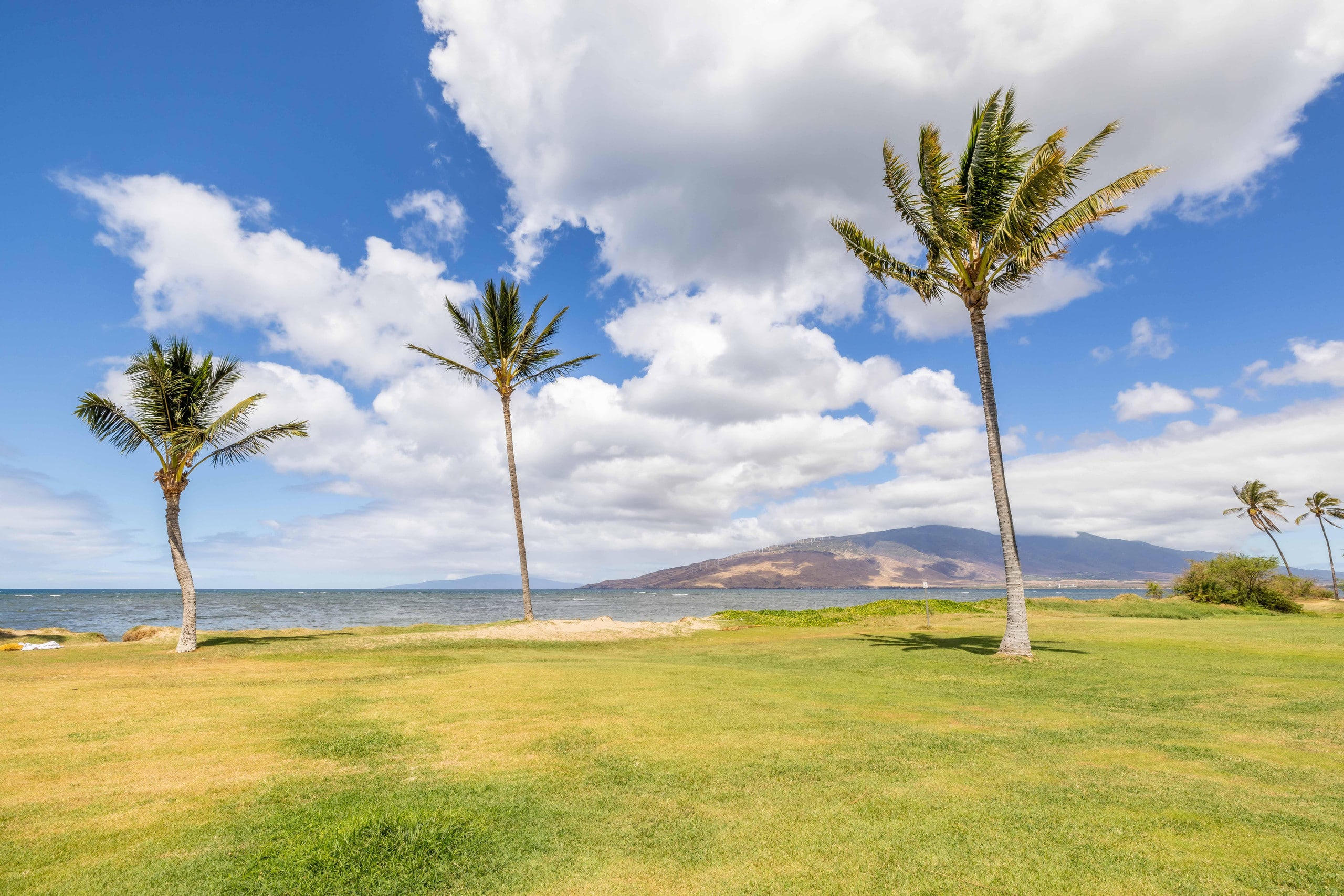 Condo in Kihei · ★4.91 · 2 bedrooms · 3 beds · 2 baths - Image 36