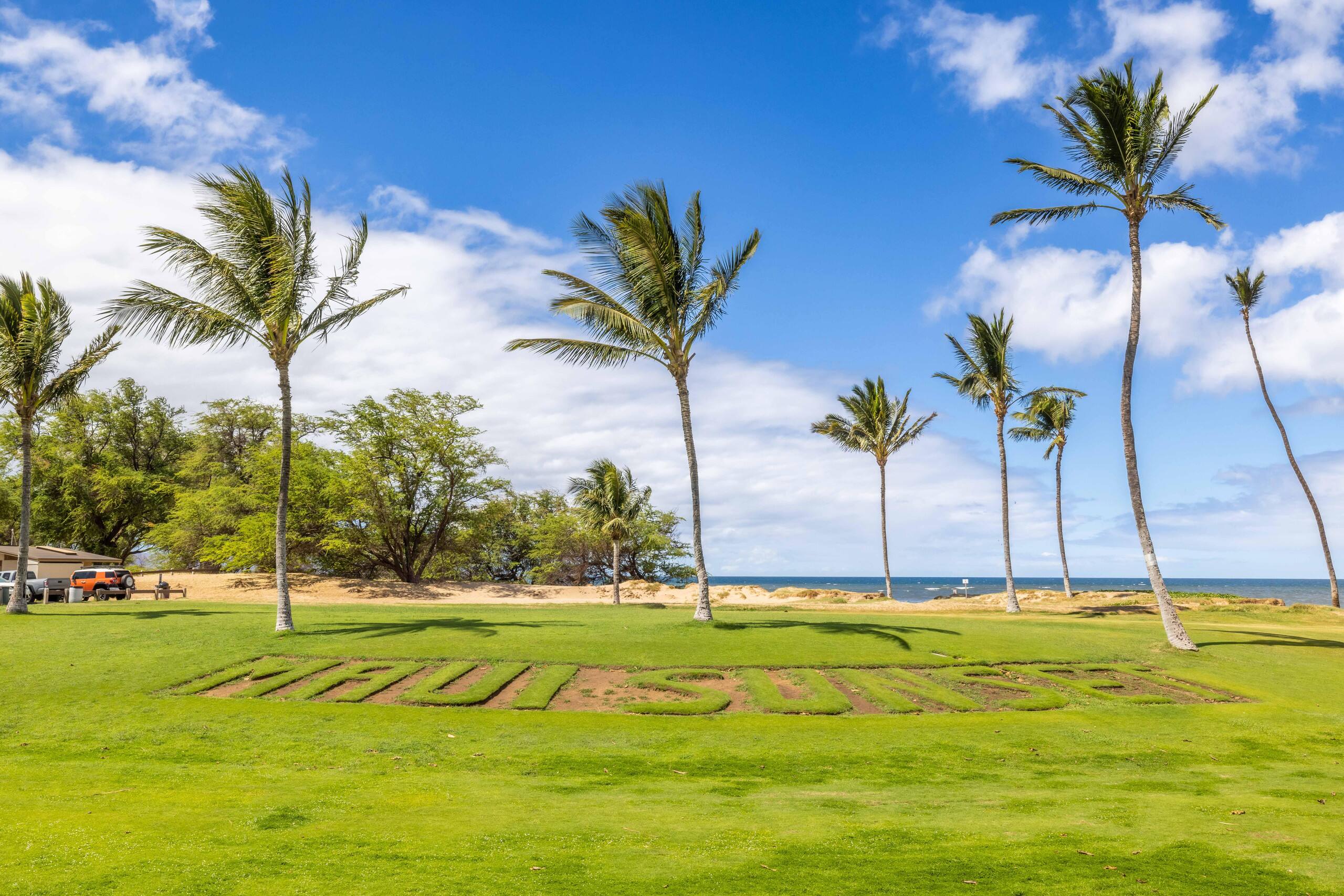 Condo in Kihei · ★4.91 · 2 bedrooms · 3 beds · 2 baths - Image 40