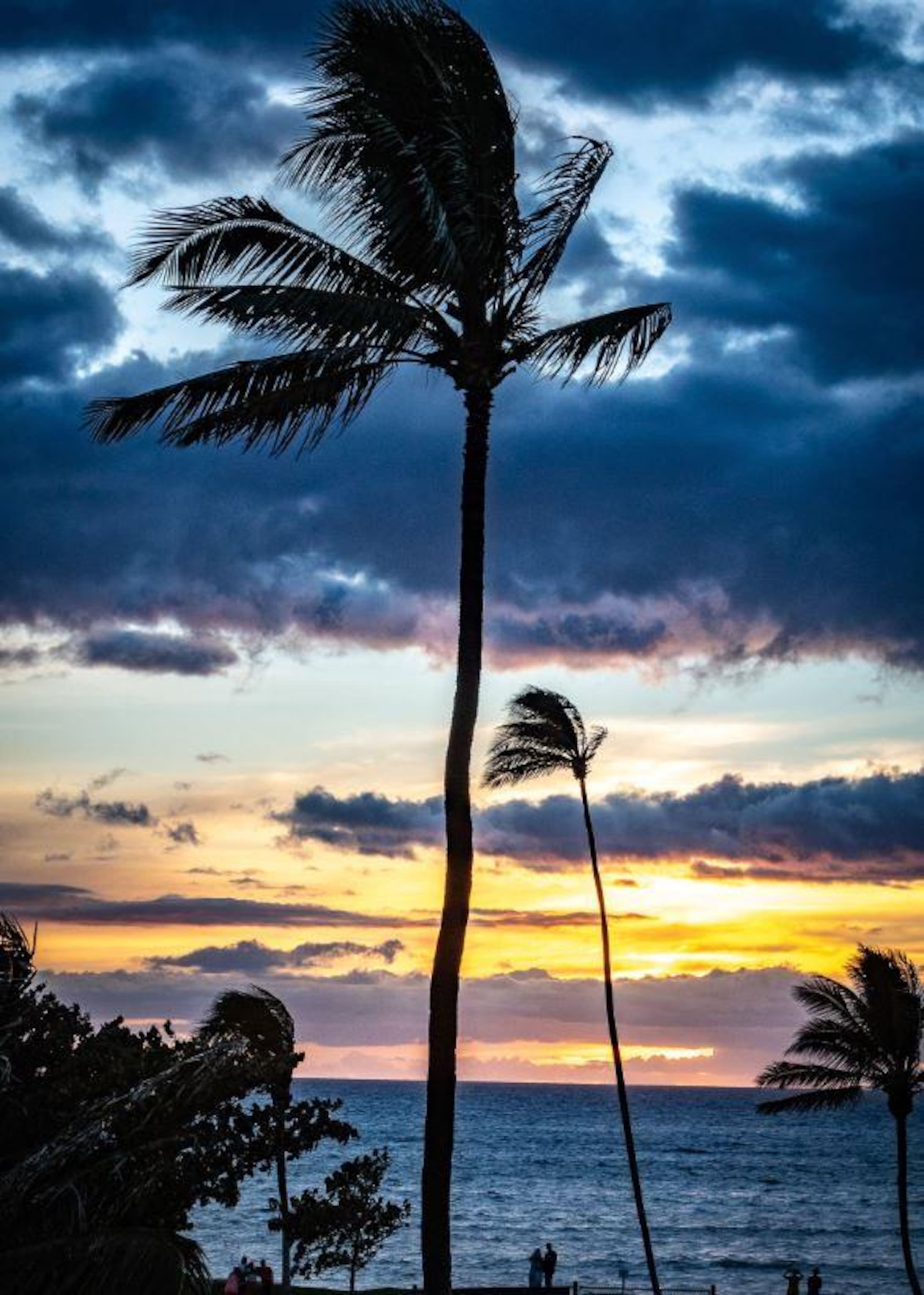 Condo in Kihei · ★4.91 · 2 bedrooms · 3 beds · 2 baths - Image 33