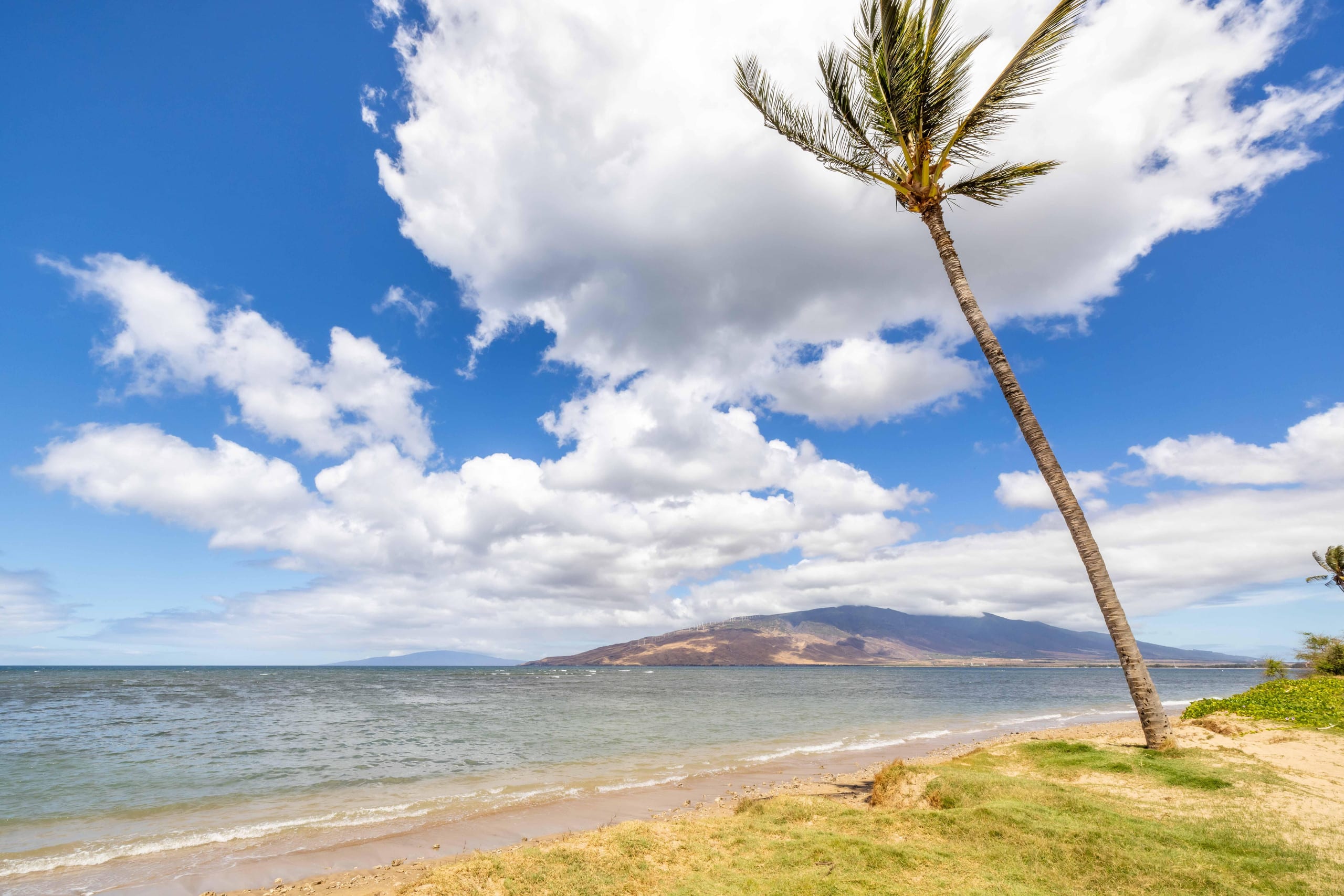 Condo in Kihei · ★4.91 · 2 bedrooms · 3 beds · 2 baths - Image 37