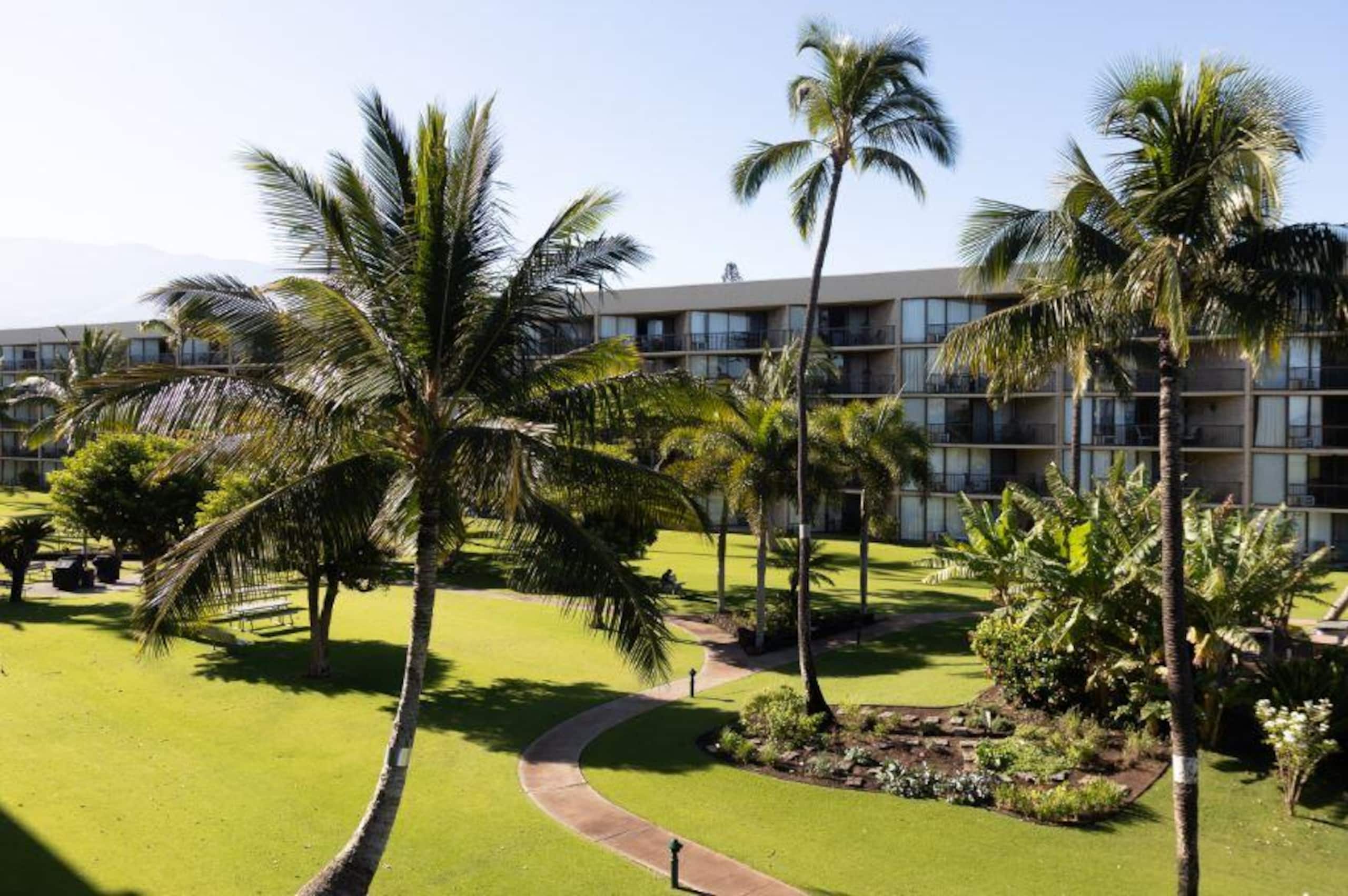 Condo in Kihei · ★4.91 · 2 bedrooms · 3 beds · 2 baths - Image 35