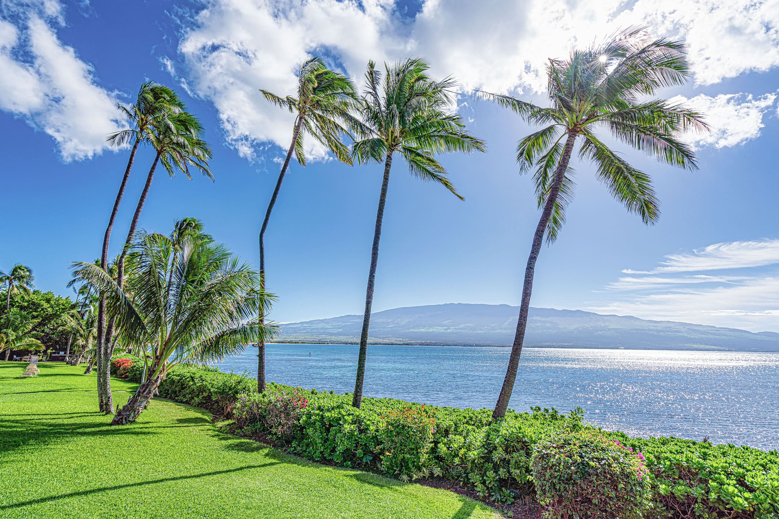 Condo in Wailuku · ★4.47 · 3 bedrooms · 5 beds · 2 shared baths - Image 25