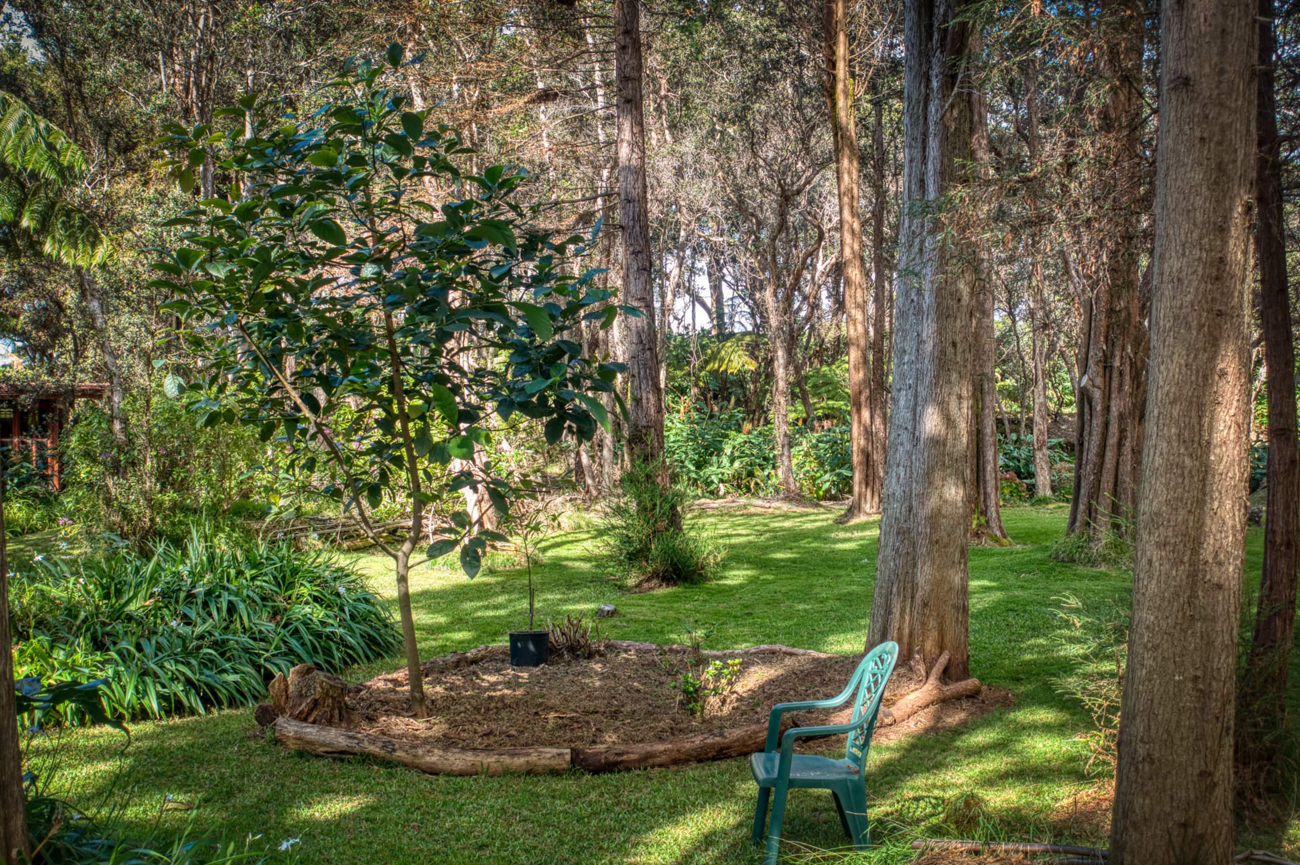 Cabin in Volcano · ★4.99 · 1 bedroom · 3 beds · 1 bath - Image 20