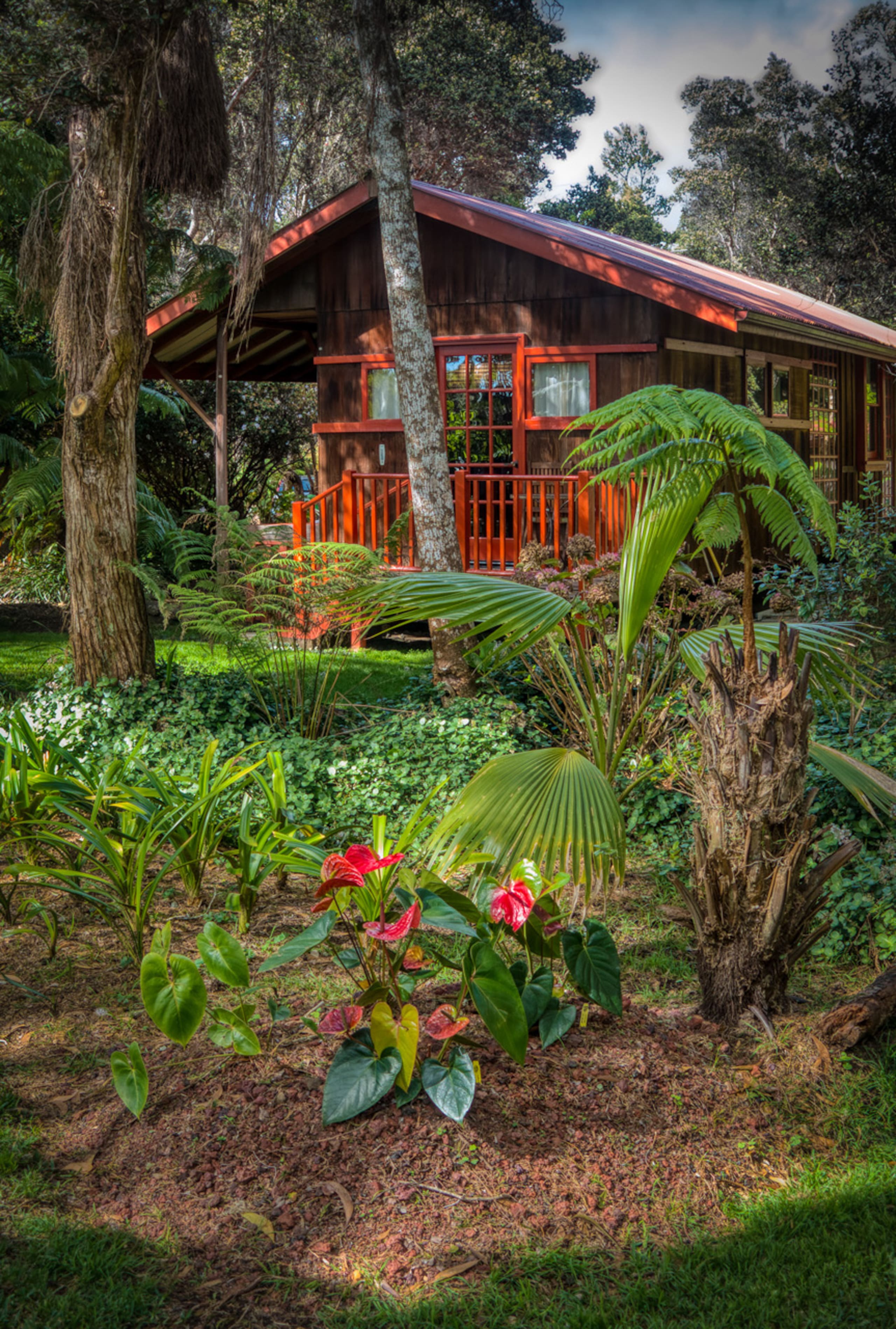 Cabin in Volcano · ★4.99 · 1 bedroom · 3 beds · 1 bath - Image 15