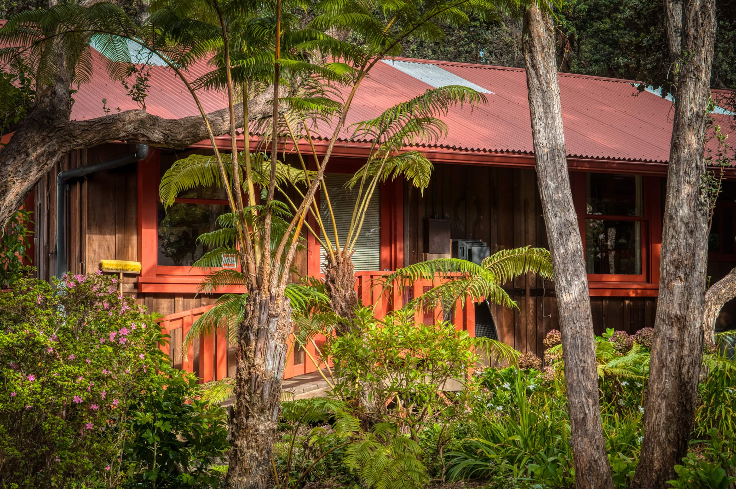 Cabin in Volcano · ★4.99 · 1 bedroom · 3 beds · 1 bath - Image 14